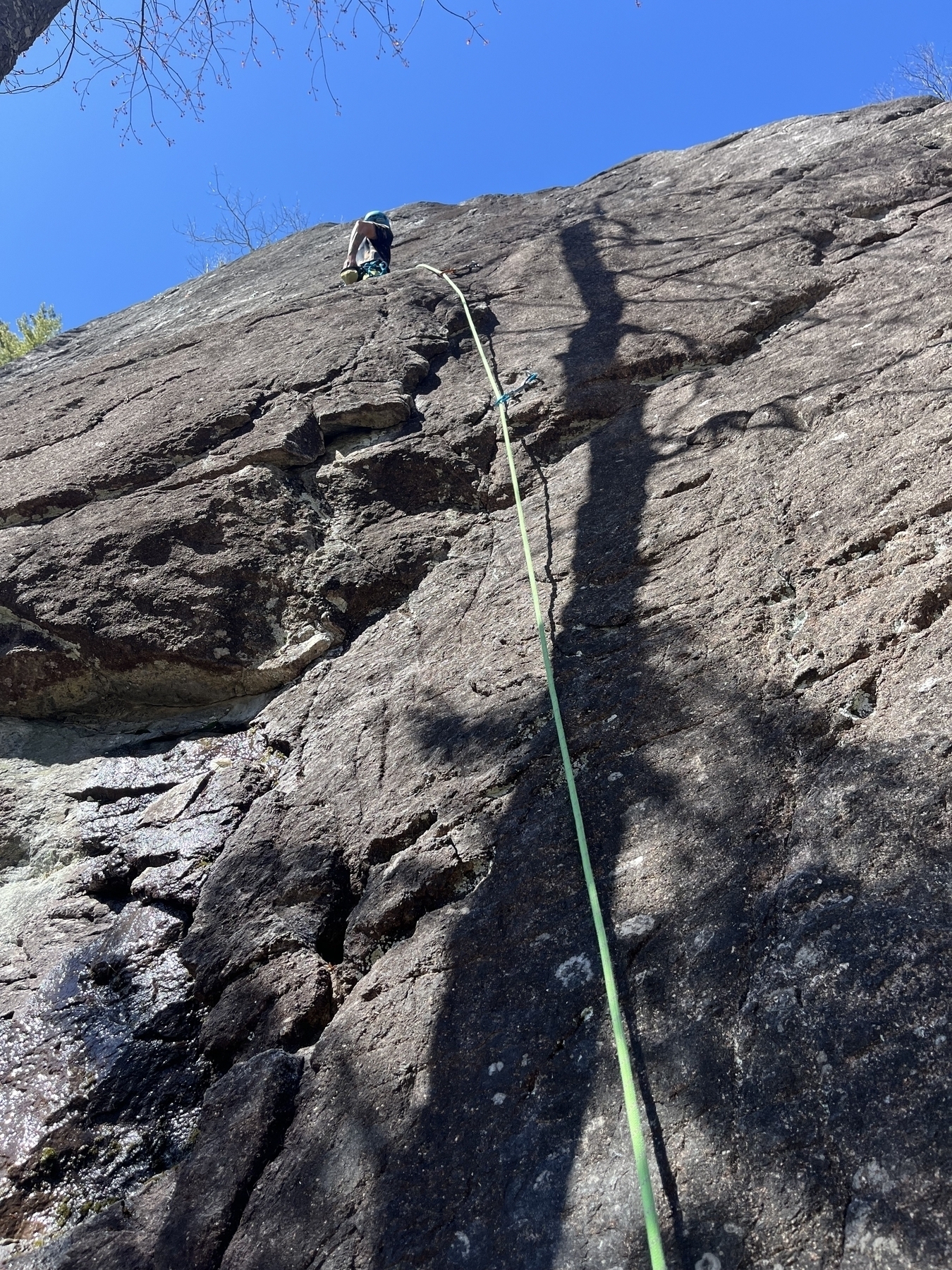 A climber ascends a steep rock face using a rope, with clear skies above and trees in the background.