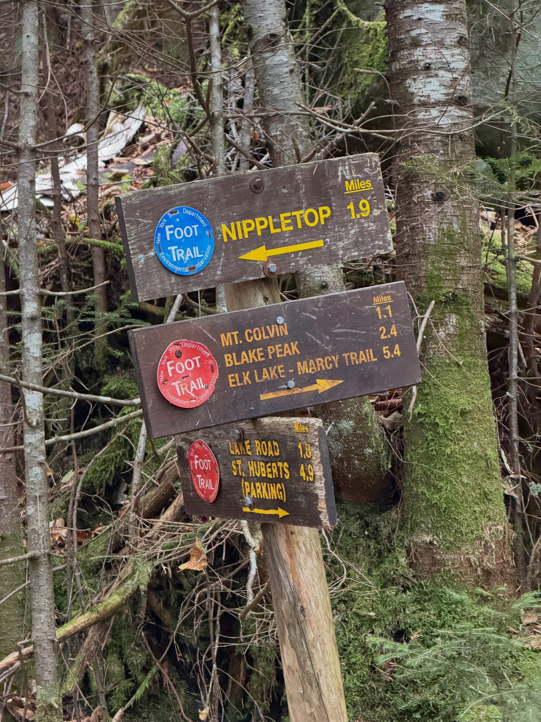 Wooden trail signs pointing in various directions indicating paths in a forested area
Text:
Top sign: Foot Trail Nippletop 1.9 Miles
Middle sign: Foot Trail Mt. Colvin 1.1 Blake Peak 2.4 Elk Lake - Marcy Trail 5.4
Bottom sign:
Foot Trail Lake Road 1.8
St. Huberts (Parking) 4.9