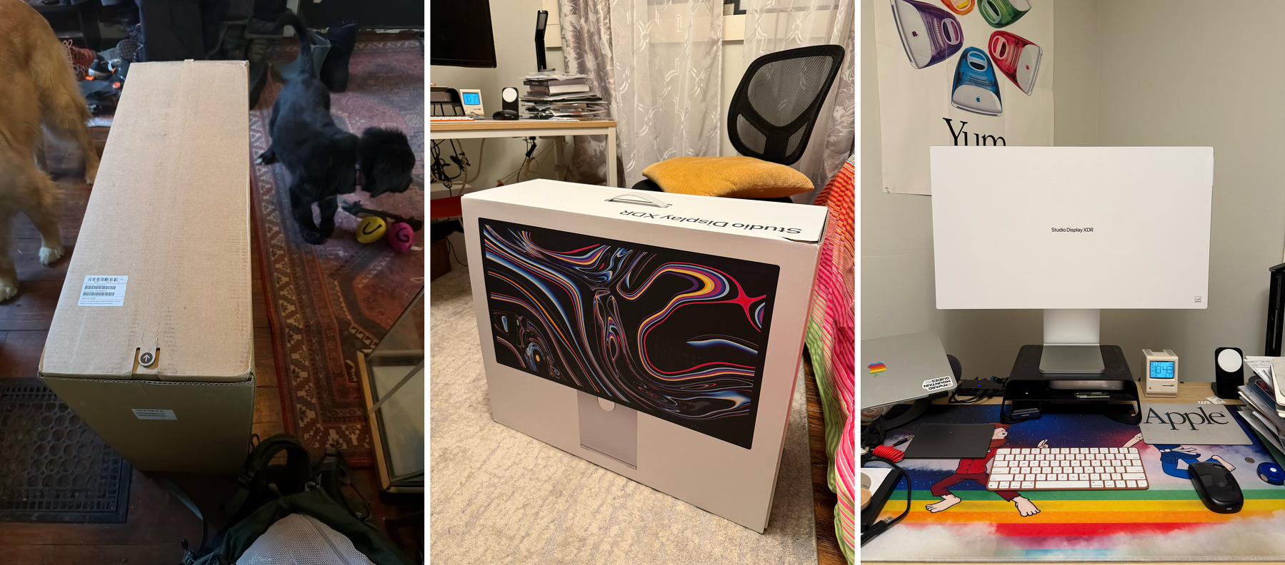 Three-panel image showing the unboxing and setup of a Studio Display XDR. Left panel: A large cardboard box on a wooden floor with two dogs nearby. Middle panel: The Studio Display XDR box positioned in a room, next to a desk and chair. Right panel: The Studio Display XDR set up on a desk with a colorful mouse pad, a keyboard, and additional items like a small clock and a speaker.