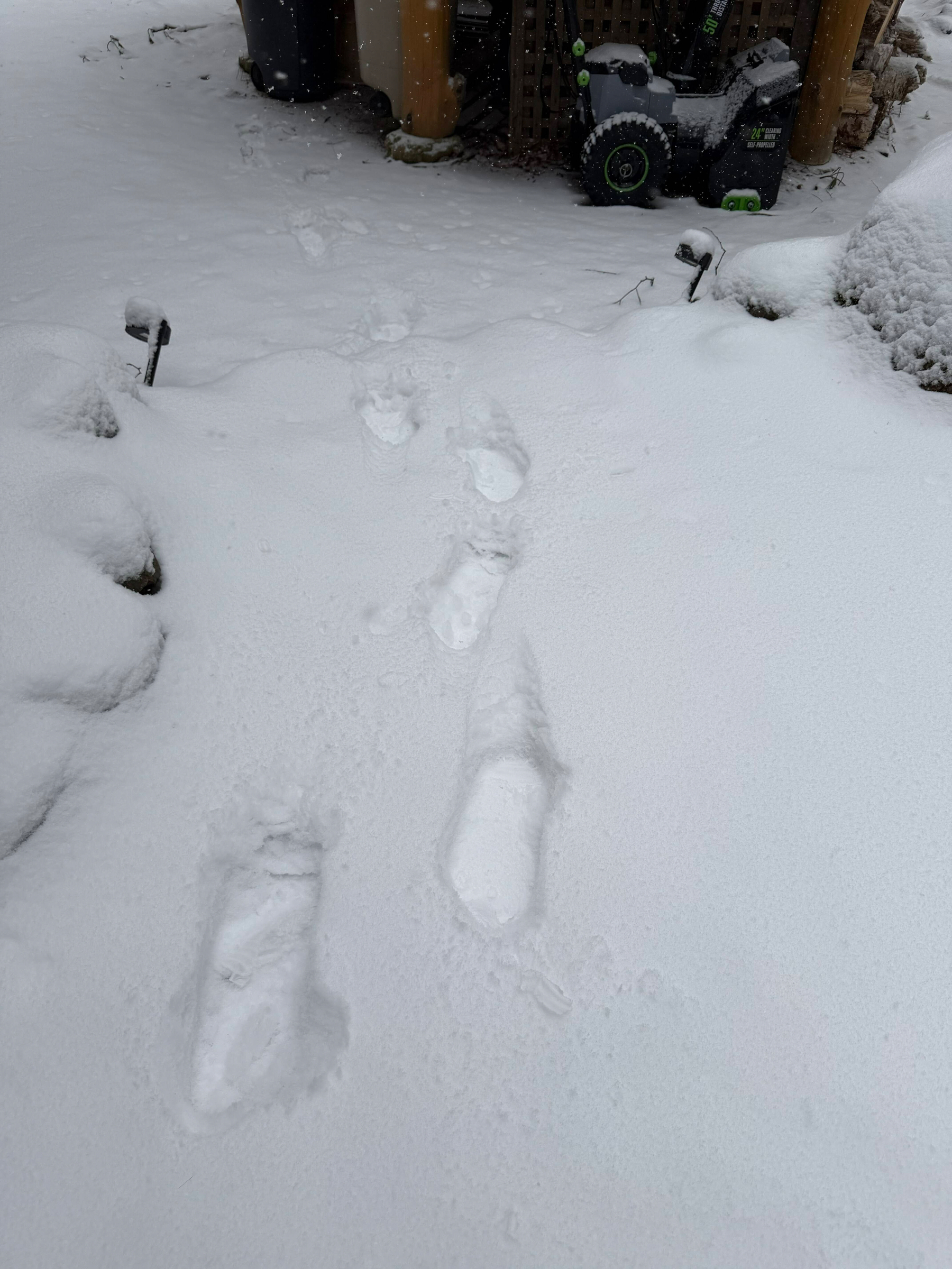 Footprints in fresh snow leading towards a snow blower and some outdoor equipment partially covered in snow. The scene is surrounded by a light snowfall, with snow-covered rocks and shrubs visible.